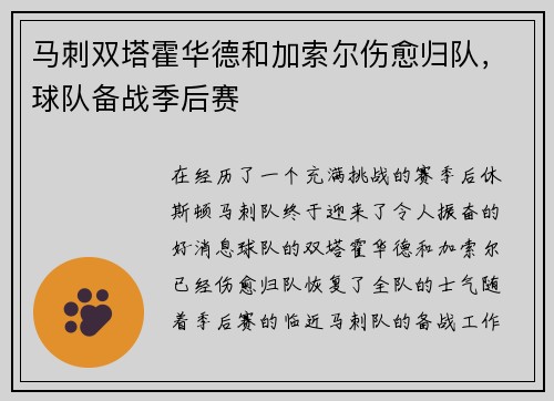 马刺双塔霍华德和加索尔伤愈归队，球队备战季后赛